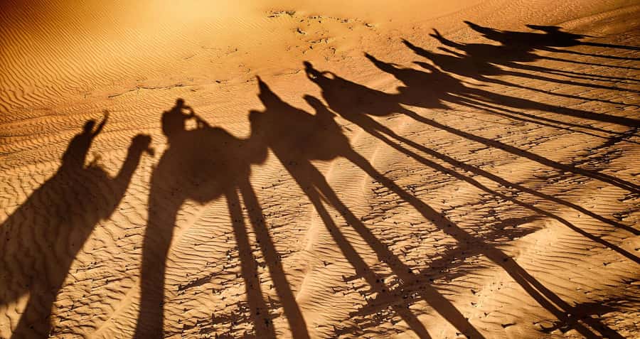 Agadir: Camel Ride With Tea & BBQ Dinner Option - Key Points at a Glance