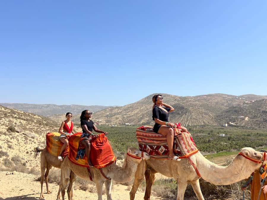 Agadir: Camel Ride With Tea & BBQ Dinner Option - When You Go Matters: Cool Morning vs Sunset Glow