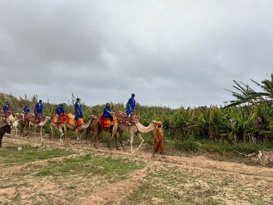 Agadir: Camel Ride With Tea & BBQ Dinner Option - The Route Stops: Eucalyptus Paths, River Views, and Photo Breaks