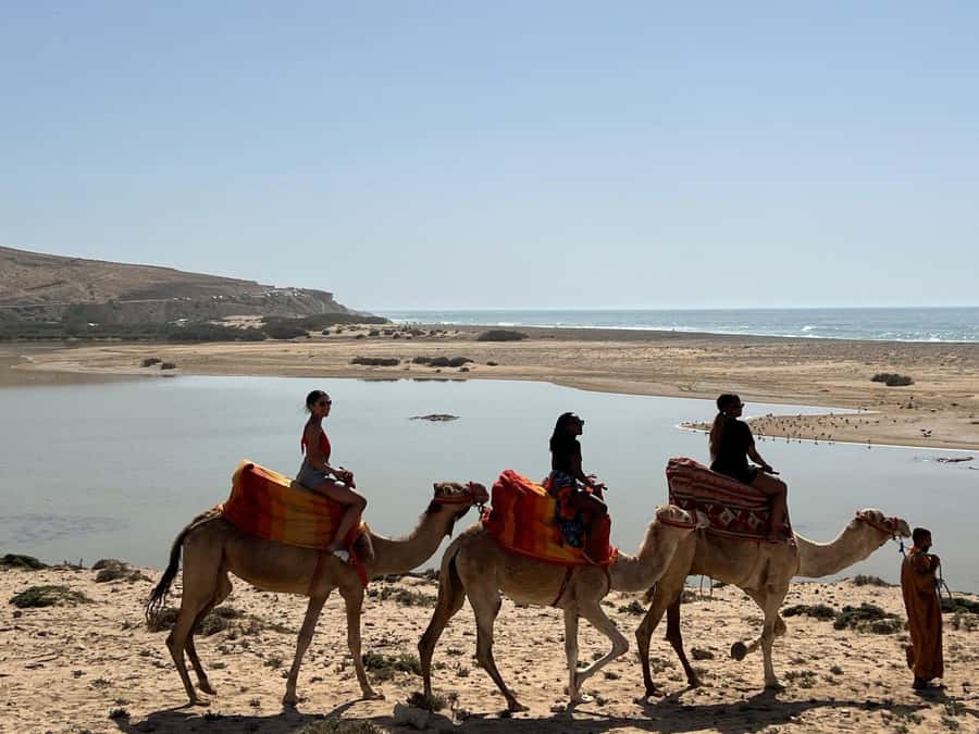 Agadir: Camel Ride With Tea & BBQ Dinner Option - Moroccan Mint Tea: The Pause That Makes It Feel Real