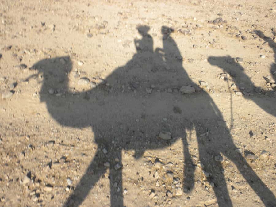 Agadir: Camel Ride With Tea & BBQ Dinner Option - Optional BBQ Dinner: What You Get If You Choose the Grilled Meal