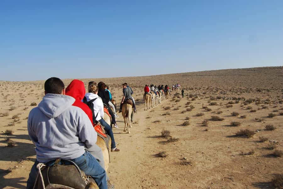 Agadir: Camel Ride With Tea & BBQ Dinner Option - Photos and Souvenirs: The Pro Picture Moment
