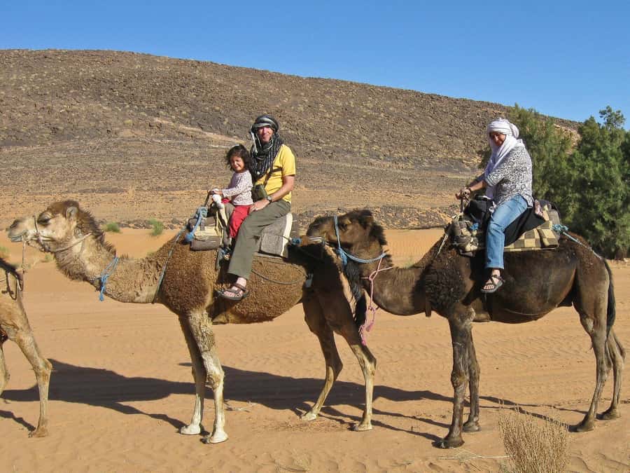 Agadir: Camel Ride With Tea & BBQ Dinner Option - Guides and Group Feel: Friendly, Active, and Focused