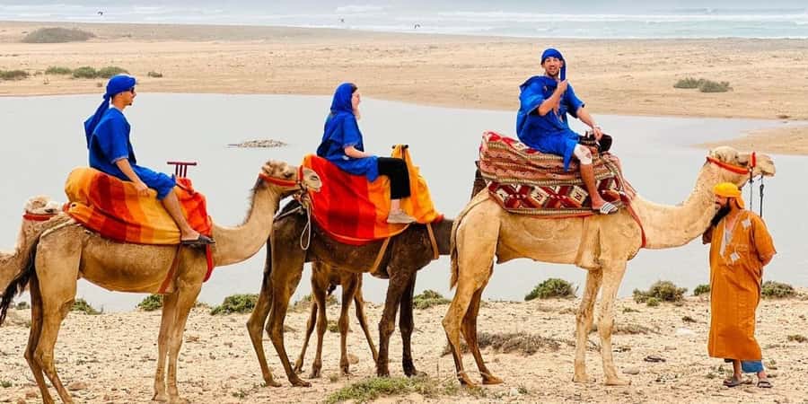 Agadir: Camel Ride With Tea & BBQ Dinner Option - Choosing a Camel and What the Camel Ride Is Really Like
