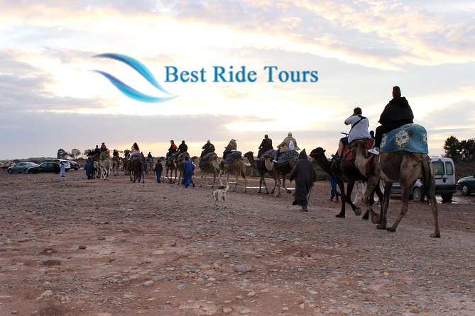 Agadir Camel Riding - Key highlights to know before you go