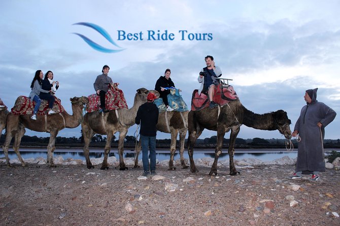 Agadir Camel Riding - Camelback views of Souss-Massa National Park, right from Agadir