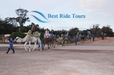 Agadir Camel Riding