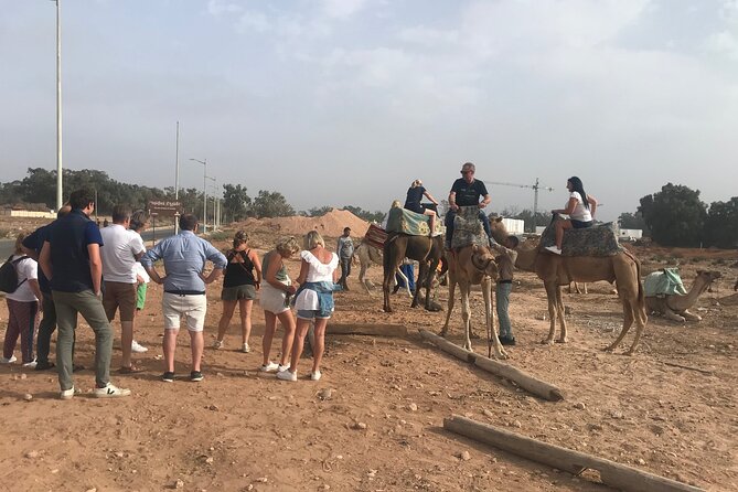 Agadir Camel Riding - The scenery moments that make this ride feel like Morocco
