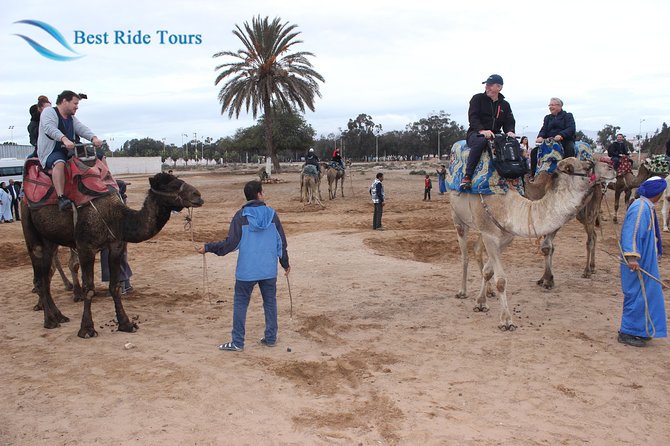 Agadir Camel Riding - Guides and service: what the best ones do