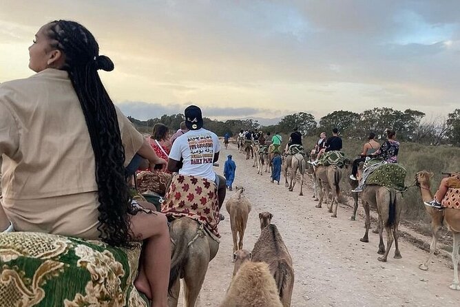 Agadir Camel Riding and flamingo river tour - Price and what $23.26 buys you in real value