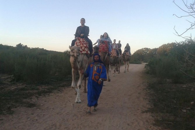 Agadir Camel Riding +Sunset and Dinner( barbecue) - Sunset Camel Ride Near Oued Souss, Not Just a Quick Photo