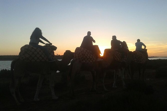 Agadir Camel Riding +Sunset and Dinner( barbecue) - Getting From Agadir: Hotel Pickup and Ranch Club d’Equitation