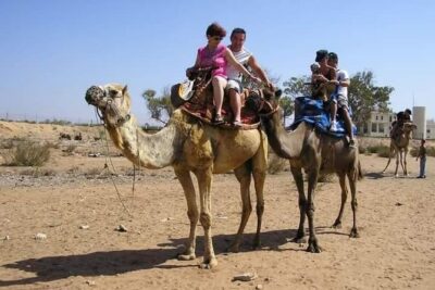 Agadir Camel Riding +Sunset and Dinner( barbecue)
