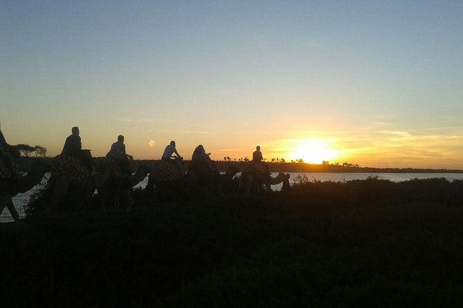 Agadir Camel Riding +Sunset and Dinner( barbecue) - Comfort and Logistics: How Crowds and Pickup Affect Your Evening