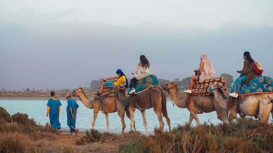 Agadir: Camel Riding Tour with Tea Drink - Key highlights at a glance
