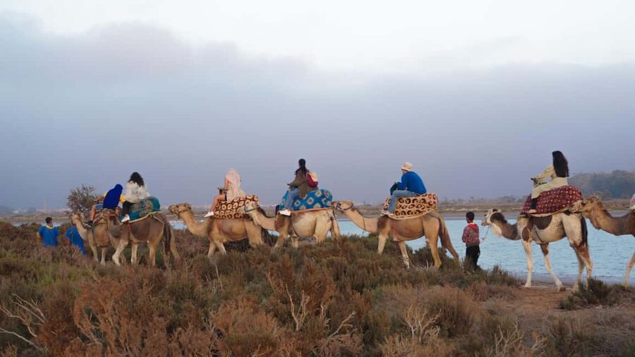 Agadir: Camel Riding Tour with Tea Drink - FAQ