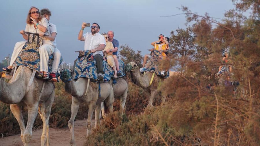Agadir: Camel Riding Tour with Tea Drink - Camel Time in Agadir: What the Ride Really Feels Like