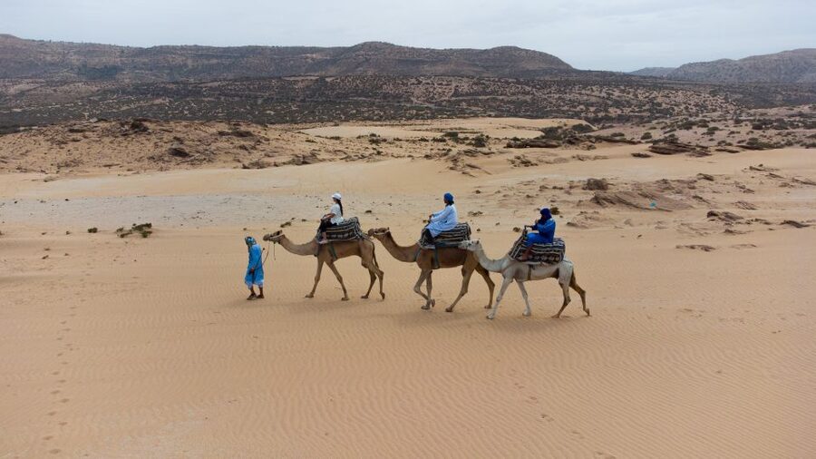 Agadir: Camel Riding Tour with Tea Drink - Value for $22: What You Get for Your Money