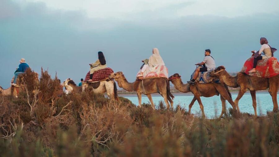 Agadir: Camel Riding Tour with Tea Drink - The People Side: Guides, Driver, and Animal Calm
