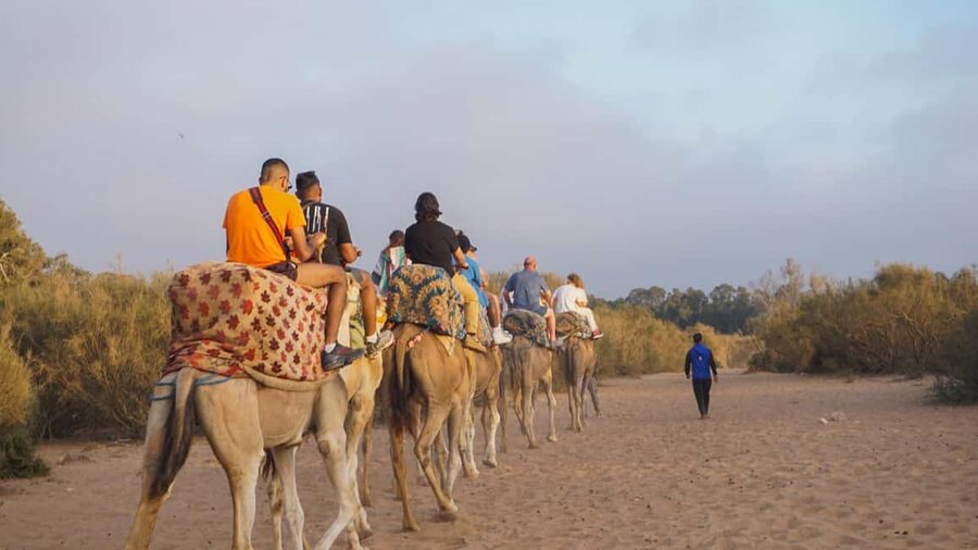 Agadir: Camel Riding Tour with Tea Drink - Should You Book This Agadir Camel Riding Tour with Tea?