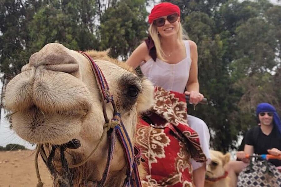 Agadir: Camel Riding Tour with Tea Drink - Hotel Pickup to Tea Break: The Flow of Your Half Day