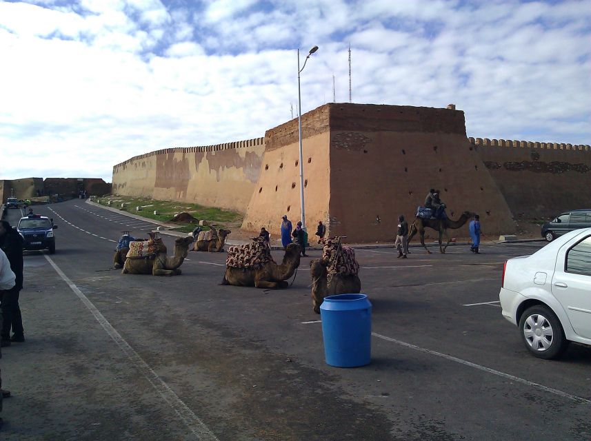 Agadir : City Sightseeing Tour - Argan oil factory visit, and why the certification detail matters