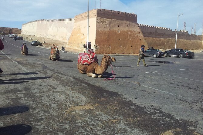 Agadir city tour and souk el had - Souk El Had d’Agadir: your 1.5-hour shopping power hour