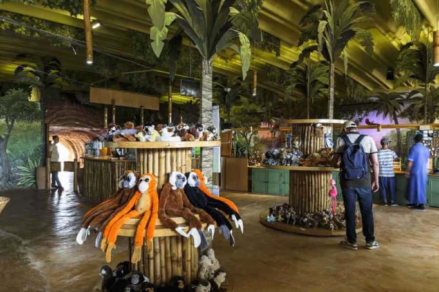 Agadir City Tour & Crocodile Park Adventure & Entry Ticket - Who this tour suits best
