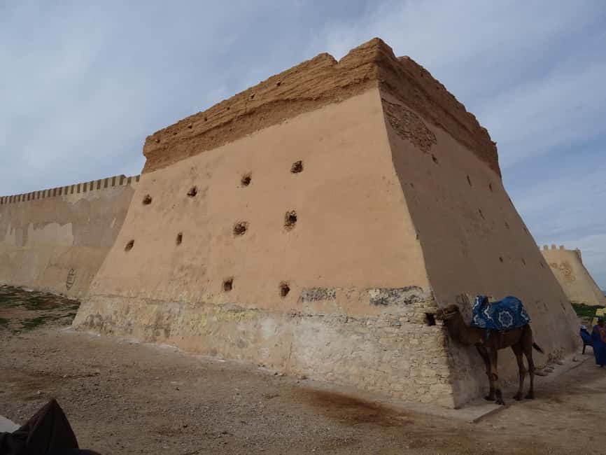 Agadir City Tour + Kasbah + Souk Market - The argan oil and local product stop: educational, but watch the time