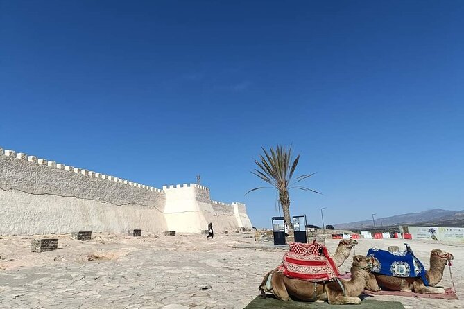 Agadir City Tour whit medina polizzi and Cable car Ride - Key highlights you will actually care about