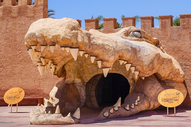 Agadir Crocodile Park Adventure - Crocoparc’s Forest-Style Design: Not Your Usual Crocodile Stop