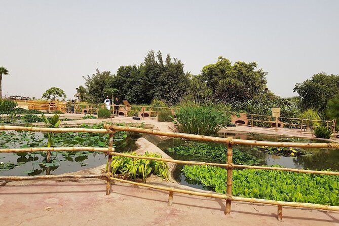 Agadir Crocodile Park Adventure - How to Make the Most of Your 3 Hours