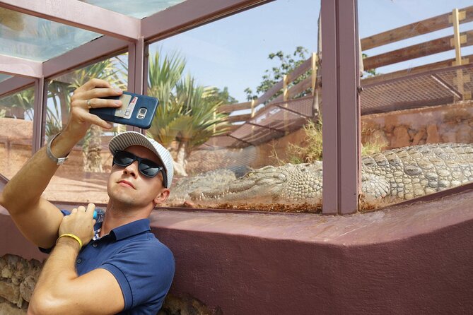 Agadir Crocodile Park Adventure - Who This Adventure Fits Best in Your Agadir Plans