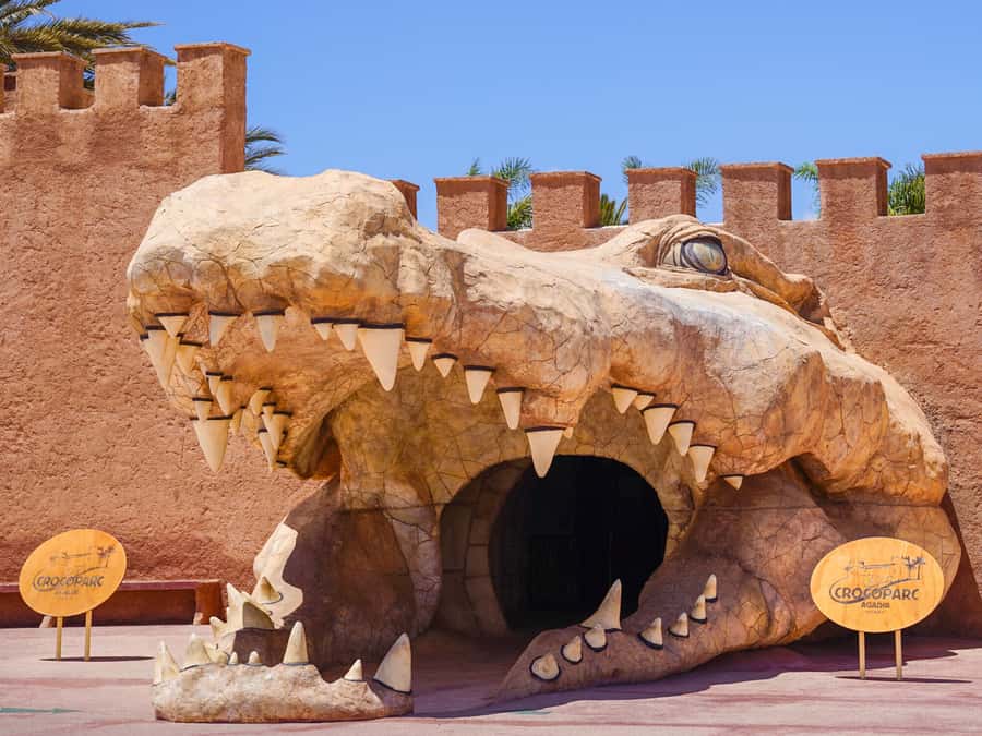 Agadir: Crocoparc Entry Ticket with Transfers, Guide, & Tea - The guided tour route: what happens once you’re in the park