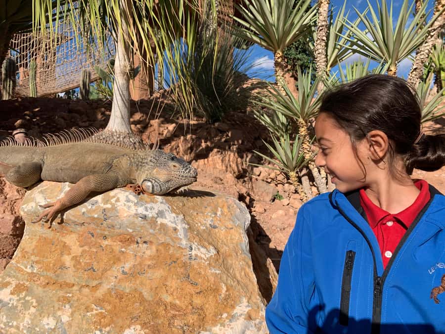 Agadir: Crocoparc Skip-the-Line Entry Ticket - Why Crocoparc Agadir Feels Different Than a Typical Zoo