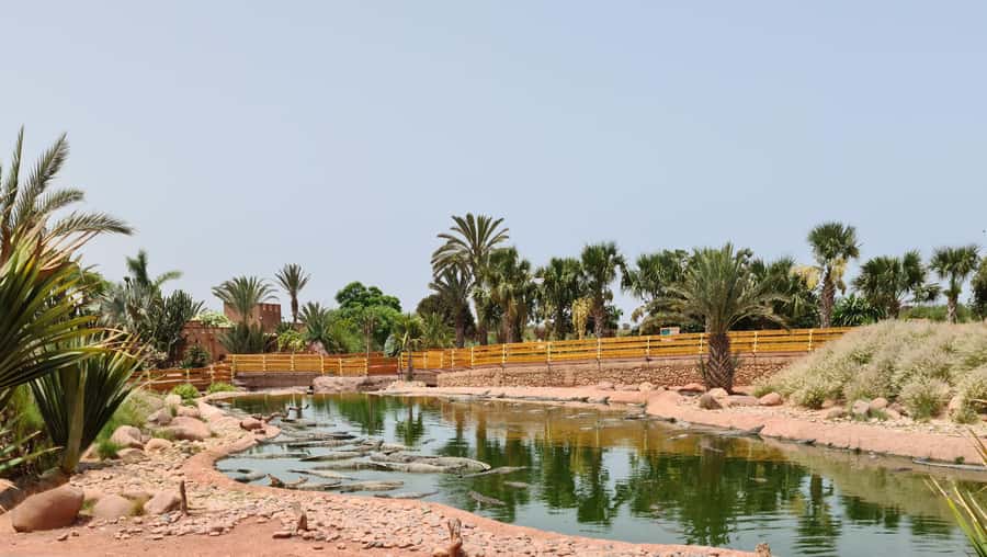 Agadir: Crocoparc Skip-the-Line Entry Ticket - Price, Skip-the-Line Value, and When to Go