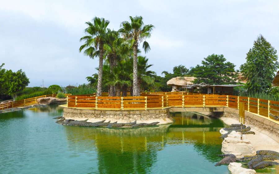 Agadir Crocoparc: Ticket and Transfer - Who should book this crocodile and plant combo?