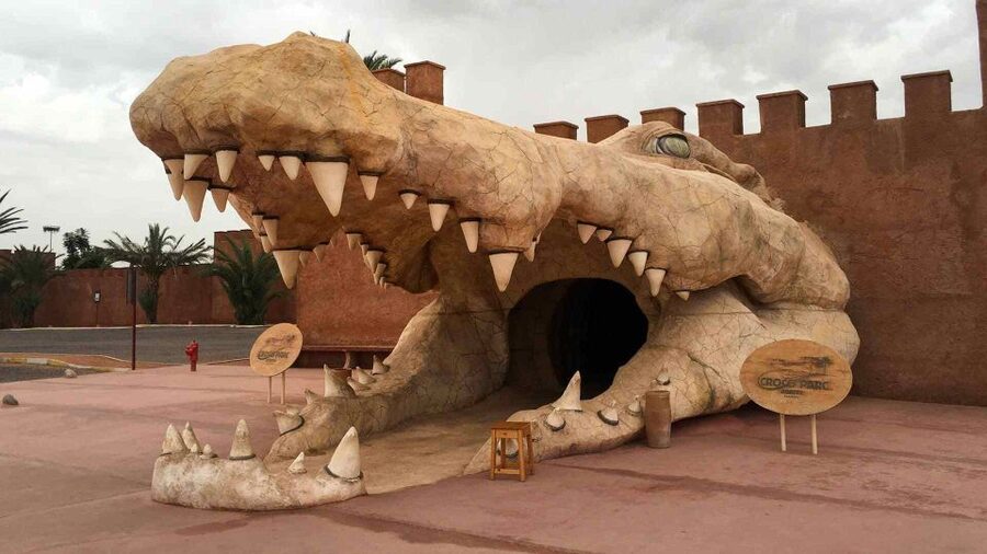 Agadir Crocoparc: Ticket and Transfer - Who this is best for, and who should rethink it