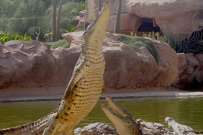 Agadir Crocoparc With Transfer & Admission ticket - Botanical Gardens Time, Why It’s More Than Just a Rest Stop