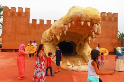 Agadir Crocoparc With Transfer & Admission ticket