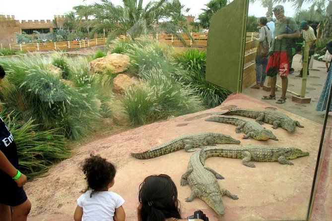 Agadir Crocoparc With Transfer & Admission ticket - Souvenir Photos and Videos: Included Keepsakes Without Extra Waiting