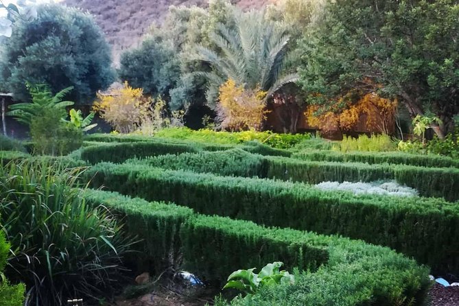 Agadir Day Trip To Paradise Valley - What Your Free Time in Paradise Valley Is Really Like