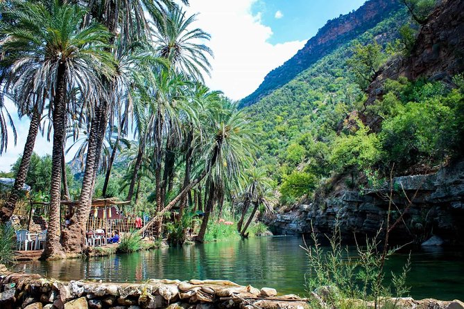 Agadir Day Trip To Paradise Valley - The 20-Minute Walk That Sets the Tone