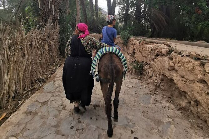 Agadir Day Trip to Taroudant and Tiout Oasis with Lunch - Who This Tour Is Best For (And Who Might Skip It)