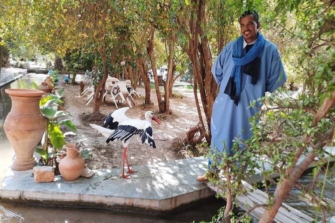 Agadir Day Trip to Taroudant and Tiout Oasis with Lunch - Should You Book the Agadir Taroudant and Tiout Oasis Tour?