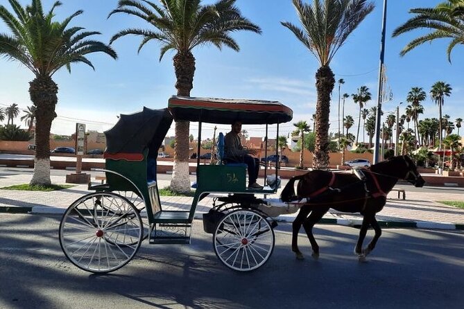 Agadir Day Trip to Taroudant and Tiout Oasis with Lunch - Taroudant City Walls, Souks, and What to Notice in a Walled Town