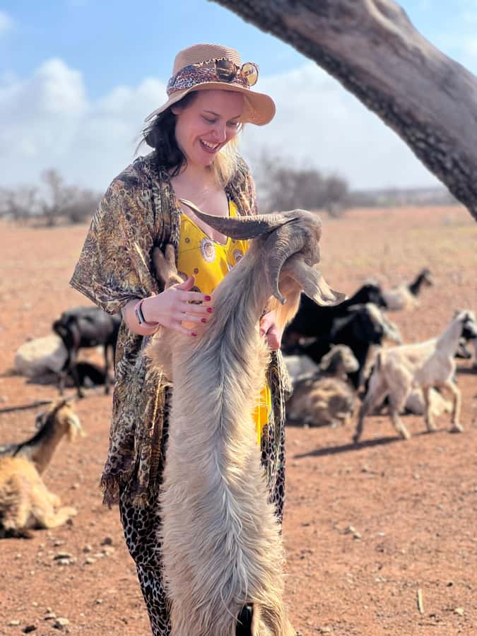 Agadir: Discover Argan Tree-Climbing Goats on a Morning Tour - Key things that make this tour worth your morning