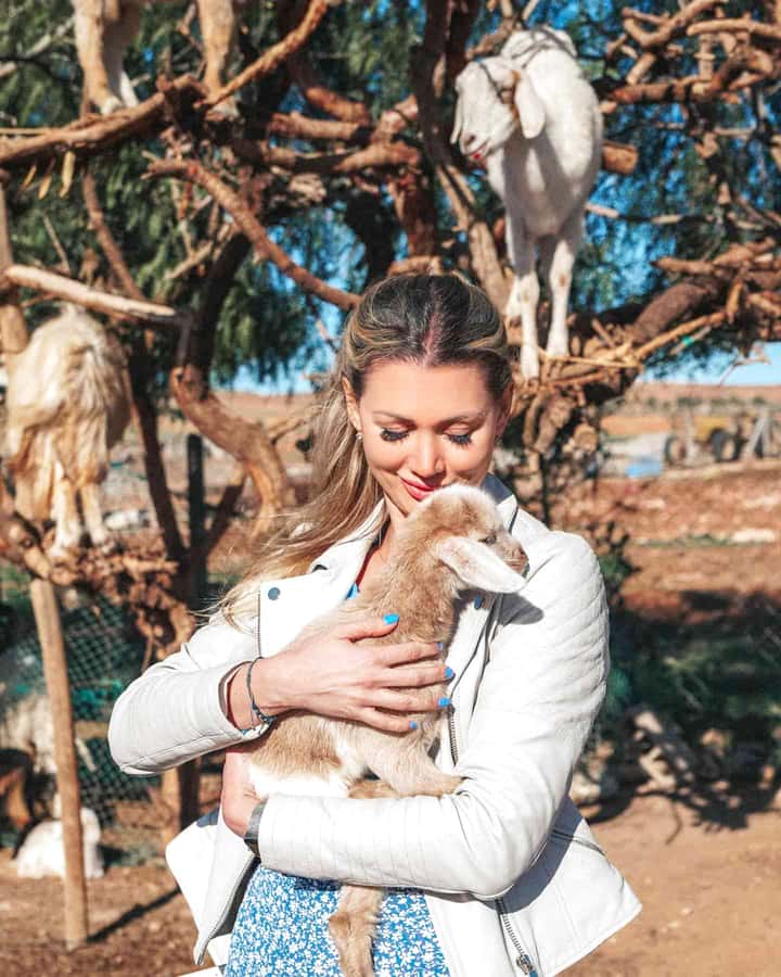 Agadir: Discover Argan Tree-Climbing Goats on a Morning Tour - 9:00 AM pickup, 150 minutes, and being back before lunch
