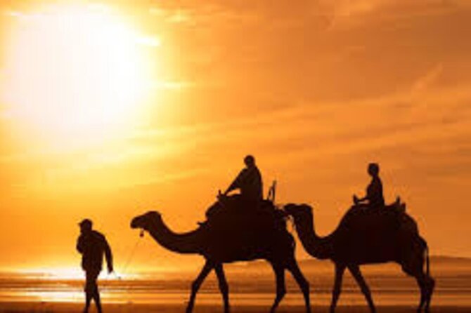 Agadir Dune Quad Bike and Sunset Camel ride Adventure - Price and What You Actually Get for Around $31.37