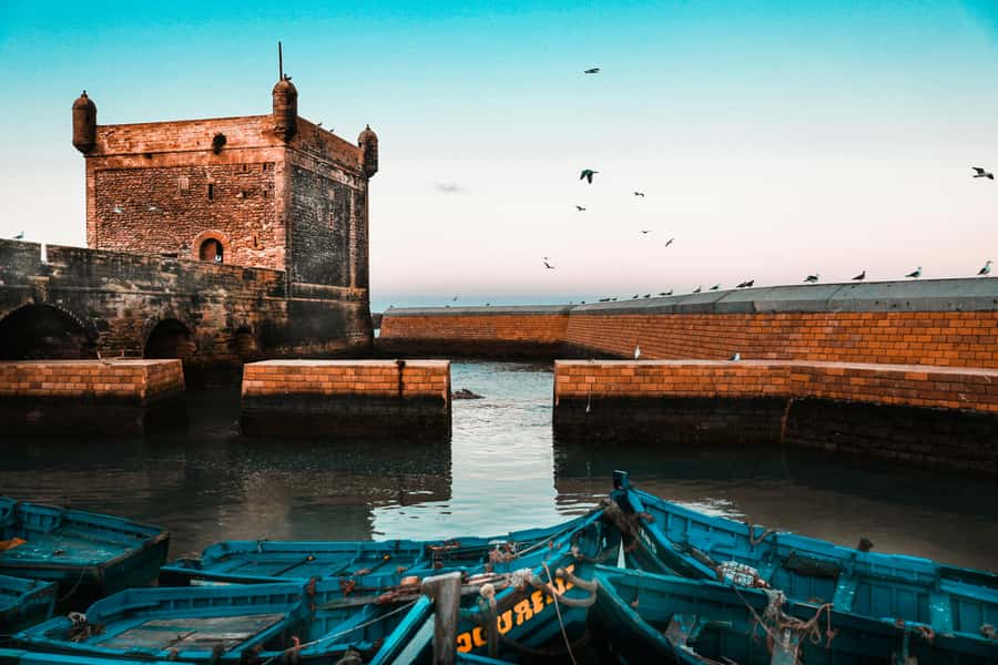 Agadir: Essaouira Guided Day Trip - Key Highlights Worth Knowing Before You Go